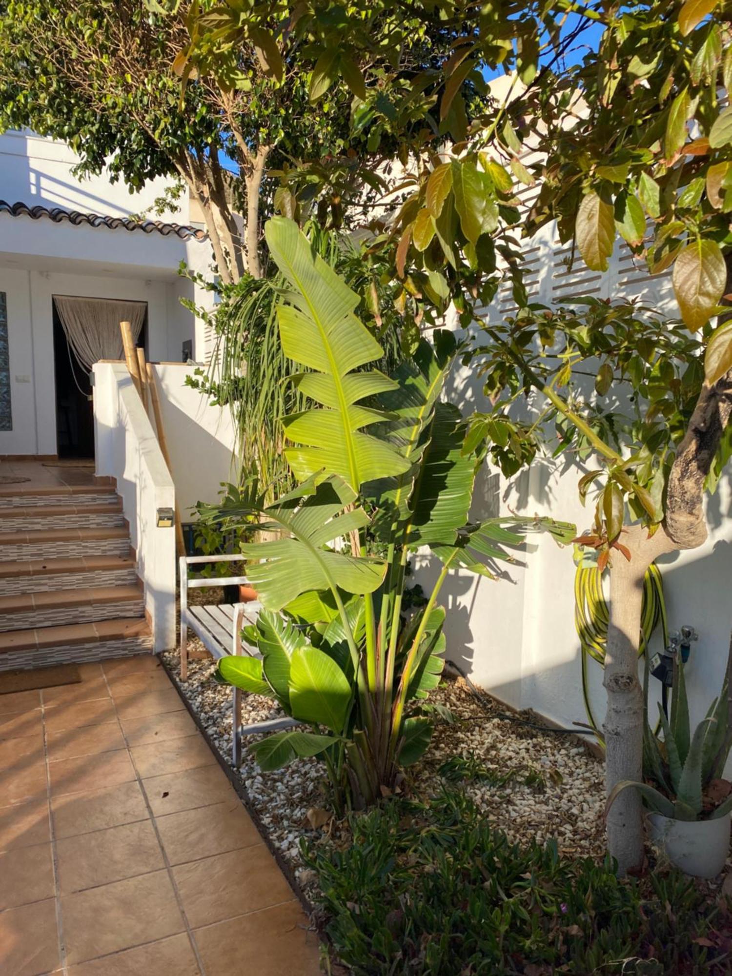 Villa Casa Energia Del Cabo. San Jose Cabo De Gata. Exterior foto
